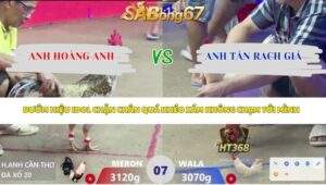 Trận 7 bồ Xà Xía 14/4/2026