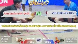 Trận 7 bồ Xà Xía 19/4/2026