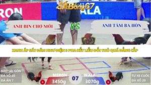 Trận 7 bồ Xà Xía 22/4/2026