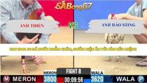 Trận 8 Bồ CPC2 24/4/2026