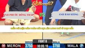 Trận 8 Bồ CPC2 25/4/2026
