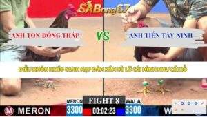 Trận 8 bồ CPC3 14/4/2026