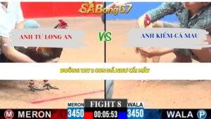 Trận 8 bồ CPC3 19/4/2026