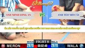 Trận 8 bồ CPC3 26/4/2026
