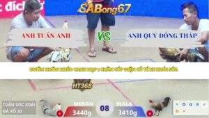 Trận 8 bồ Xà Xía 11/4/2026
