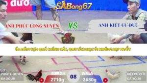 Trận 8 Bồ Xà Xía 17/4/2026