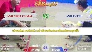 Trận 8 bồ Xà Xía 30/4/2026