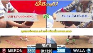 Trận 9 Bồ CPC2 17/4/2026