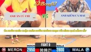 Trận 9 Bồ CPC2 20/4/2026