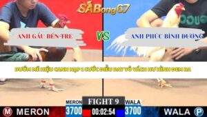 Trận 9 bồ CPC3 27/4/2026