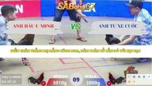 Trận 9 bồ Xà Xía 11/4/2026