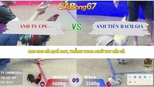 Trận 9 bồ Xà Xía 12/4/2026