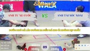 Trận 9 bồ Xà Xía 14/4/2026