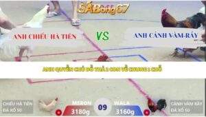 Trận 9 bồ Xà Xía 16/4/2026