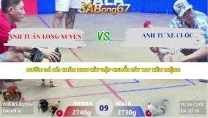 Trận 9 bồ Xà Xía 18/4/2026
