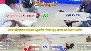 Trận 9 bồ Xà Xía 23/4/2026