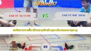 Trận 9 bồ Xà Xía 24/4/2026