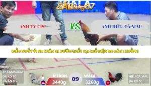 Trận 9 bồ Xà Xía 26/4/2026