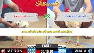 Trận 1 bồ CPC2 1/5/2026