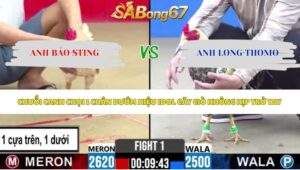Trận 1 bồ CPC2 13/5/2026