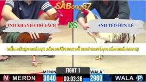 Trận 1 bồ CPC2 15/5/2026