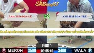 Trận 1 bồ CPC2 22/5/2026