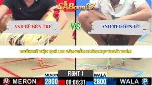 Trận 1 bồ CPC2 23/5/2026