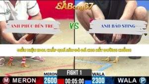 Trận 1 bồ CPC2 8/5/2026