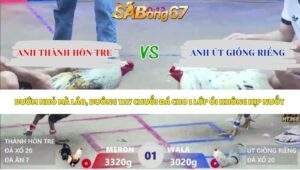 Trận 1 bồ Xà Xía 12/5/2026