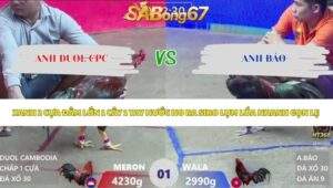 Trận 1 bồ Xà Xía 28/5/2026