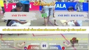 Trận 1 bồ Xà Xía 7/5/2026