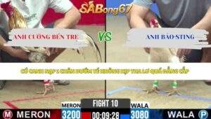 Trận 10 bồ CPC2 1/5/2026