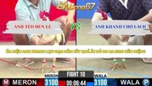 Trận 10 bồ CPC2 13/5/2026