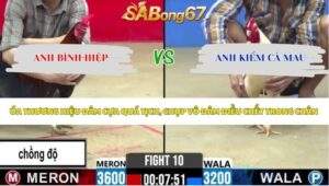 Trận 10 bồ CPC2 15/5/2026