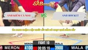 Trận 10 bồ CPC2 2/5/2026
