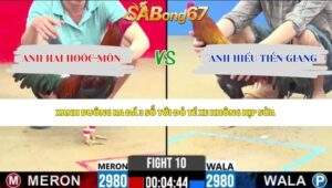 Trận 10 bồ CPC2 26/5/2026