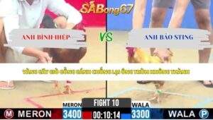 Trận 10 bồ CPC2 6/5/2026