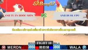 Trận 10 bồ CPC3 11/5/2026
