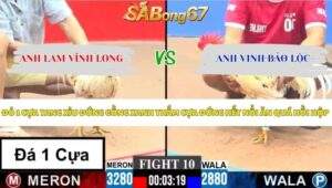 Trận 10 bồ CPC3 24/5/2026