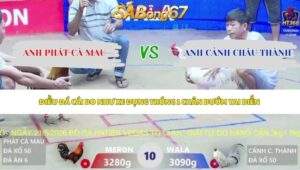 Trận 10 bồ Xà Xía 12/5/2026