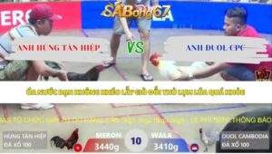 Trận 10 bồ Xà Xía 7/5/2026