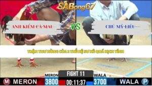 Trận 11 bồ CPC2 15/5/2026
