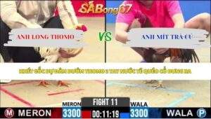 Trận 11 bồ CPC2 20/5/2026