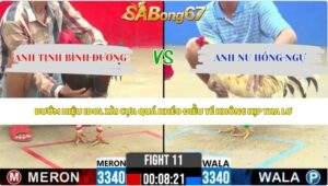 Trận 11 bồ CPC2 28/5/2026