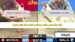 Trận 11 bồ CPC2 30/5/2026