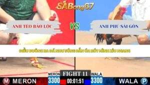 Trận 11 bồ CPC3 10/5/2026