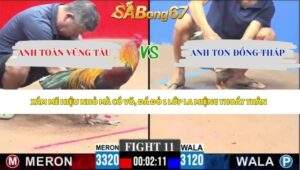 Trận 11 bồ CPC3 17/5/2026