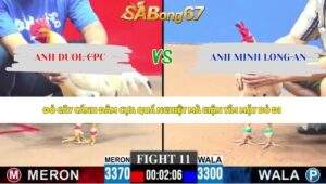 Trận 11 bồ CPC3 4/5/2026