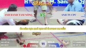 Trận 11 bồ Xà Xía 3/5/2026