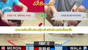 Trận 12 bồ CPC2 1/5/2026